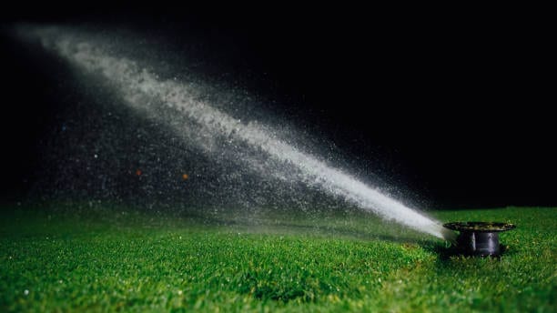 can i water my lawn at night image