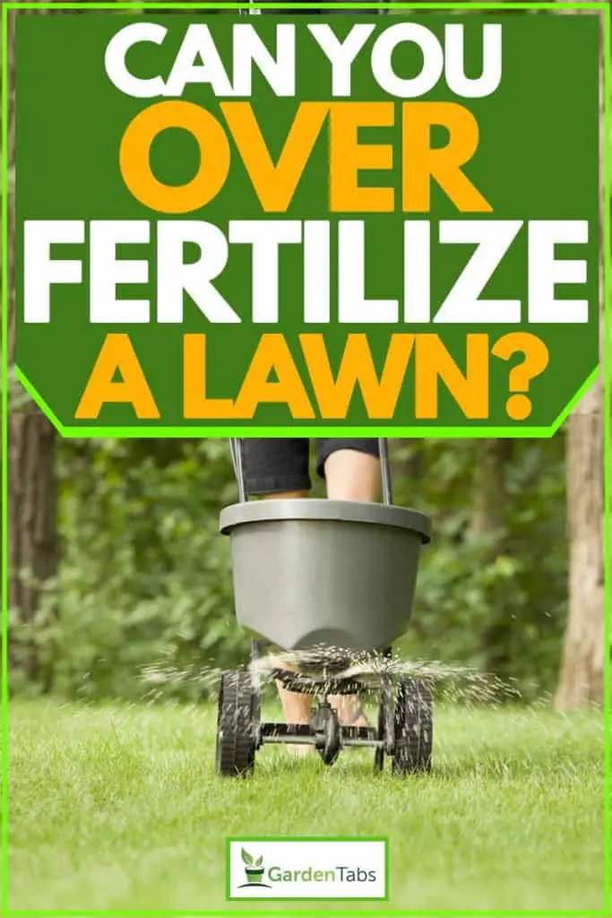 Can You Over Fertilize a Lawn?