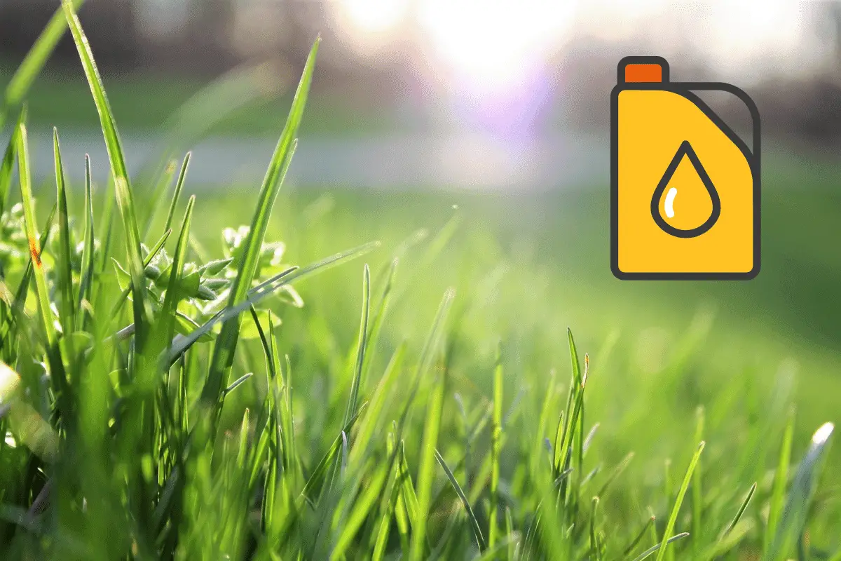 Can You Use Old Motor Oil To Fertilize Your Lawn?