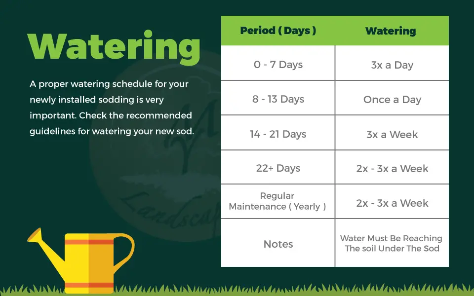 Cheatsheet: Taking Care Of Your New Sod Grass From Day 1 ...