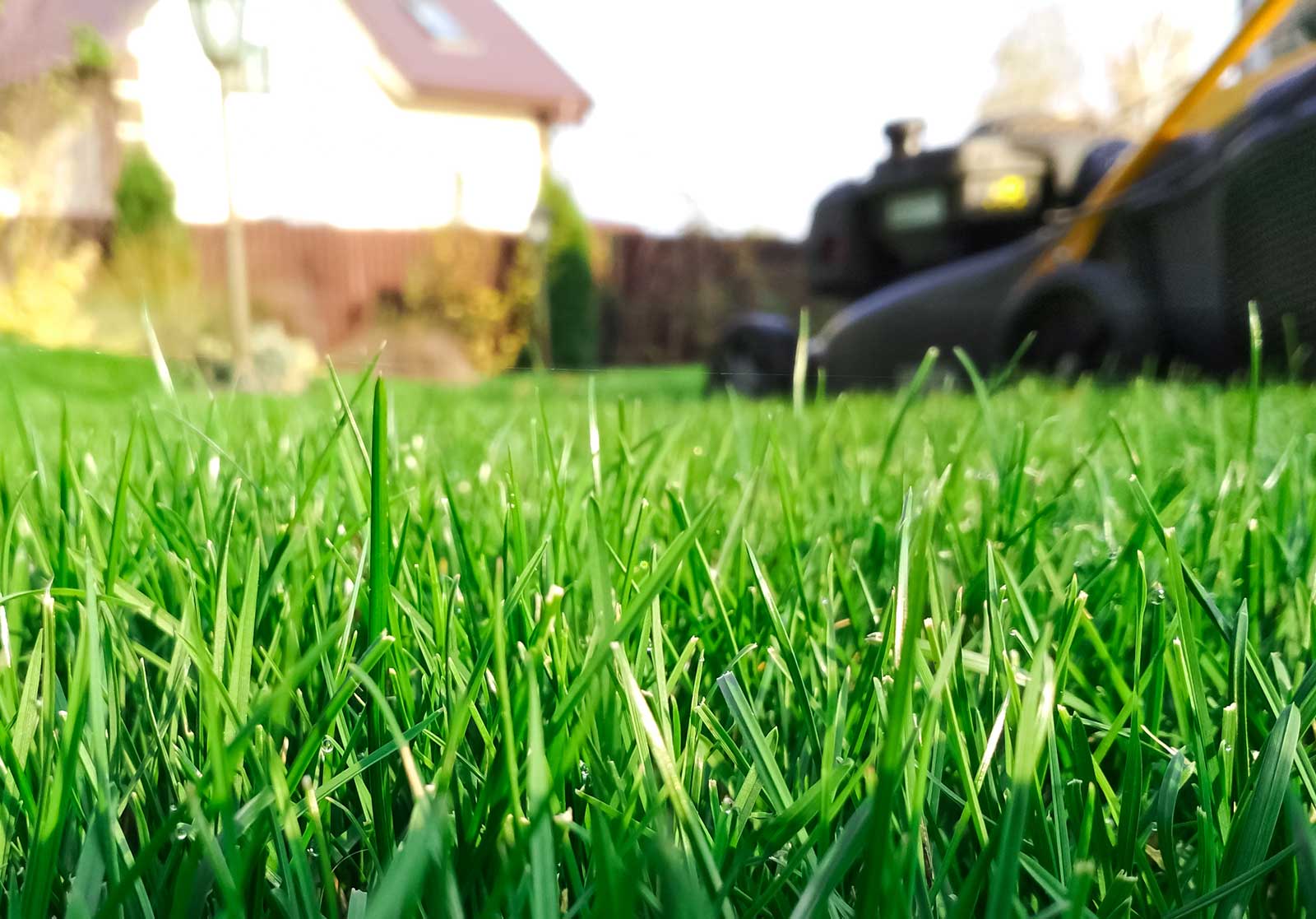 Check out the Dependable Lawn Care Service of Affordable ...