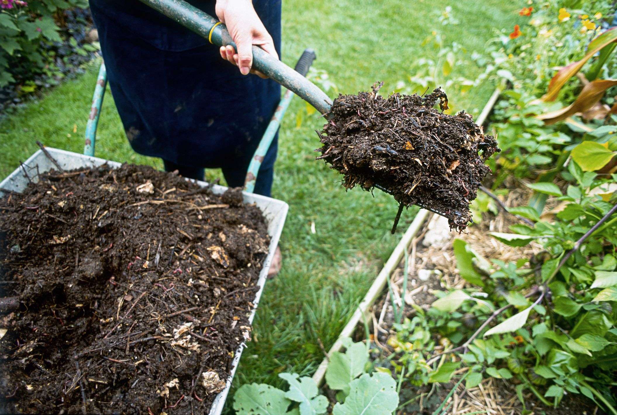 Compost for the Lawn