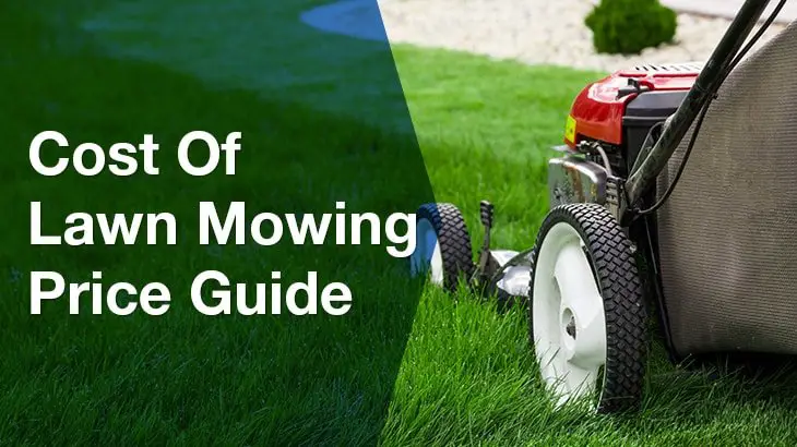 Cost of Lawn Mowing