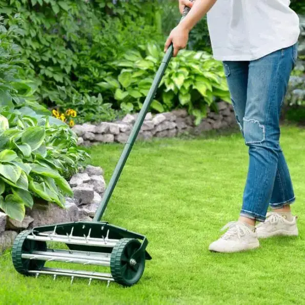 Dethatching Vs Aerating â Tips for a Better Lawn