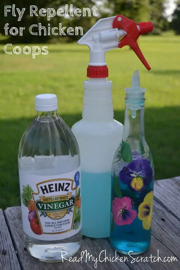 Dish Soap, Vinegar, And Water Fly Spray