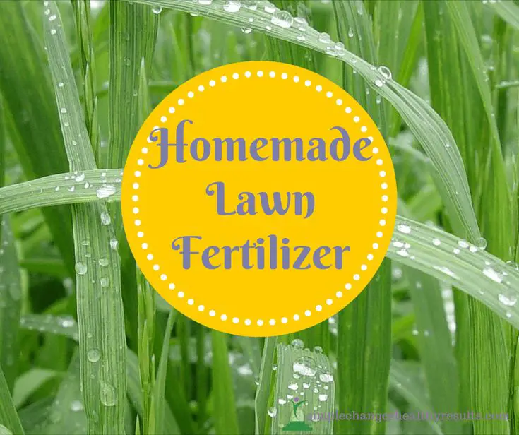 DIY: Homemade and Healthy Lawn Fertilizer