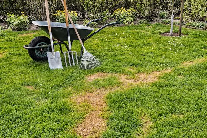 DIY: Lawn Repair 101