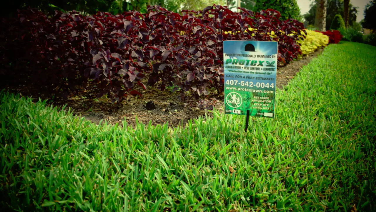 Do It Yourself Lawn Care Oviedo