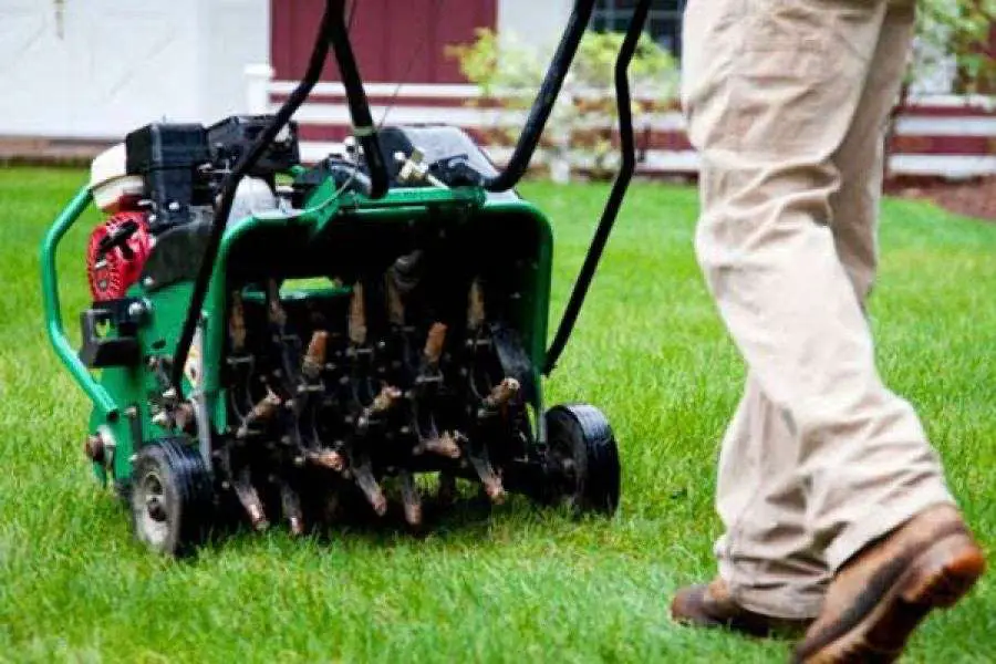 Do You Need to Aerate Your Lawn?