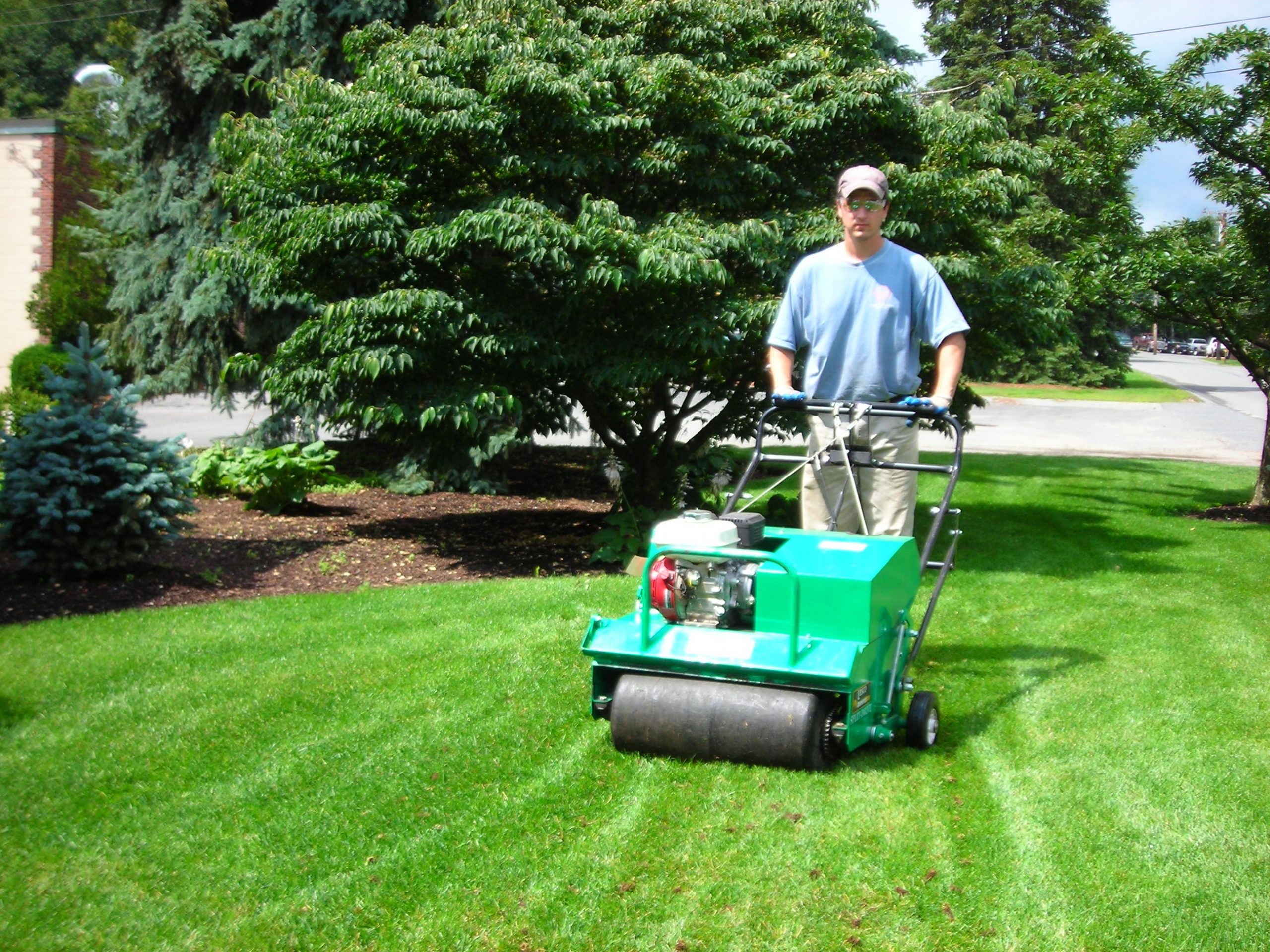 Do you want to achieve a professional lawn care services ...
