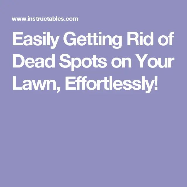 Easily Getting Rid of Dead Spots on Your Lawn, Effortlessly!