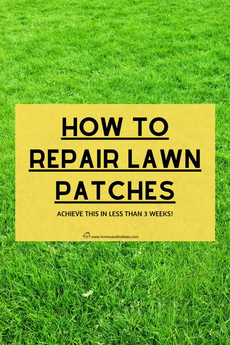 Easy DIY on Repairing Lawn Patches