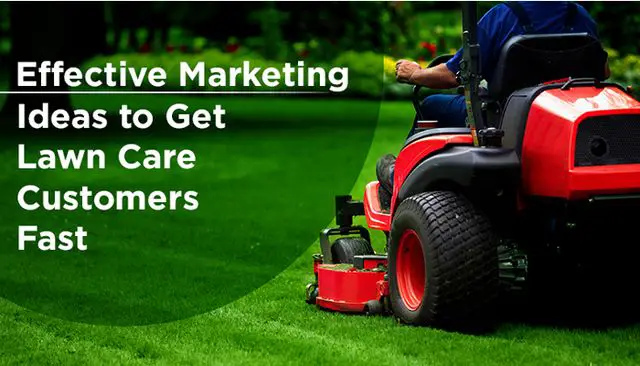 Effective Marketing Ideas to Get Lawn Care Customers Fast ...
