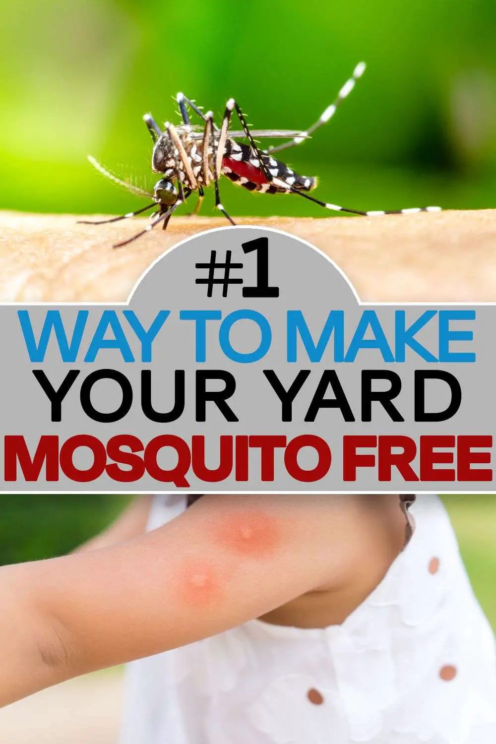 Eliminate Mosquitoes Fast