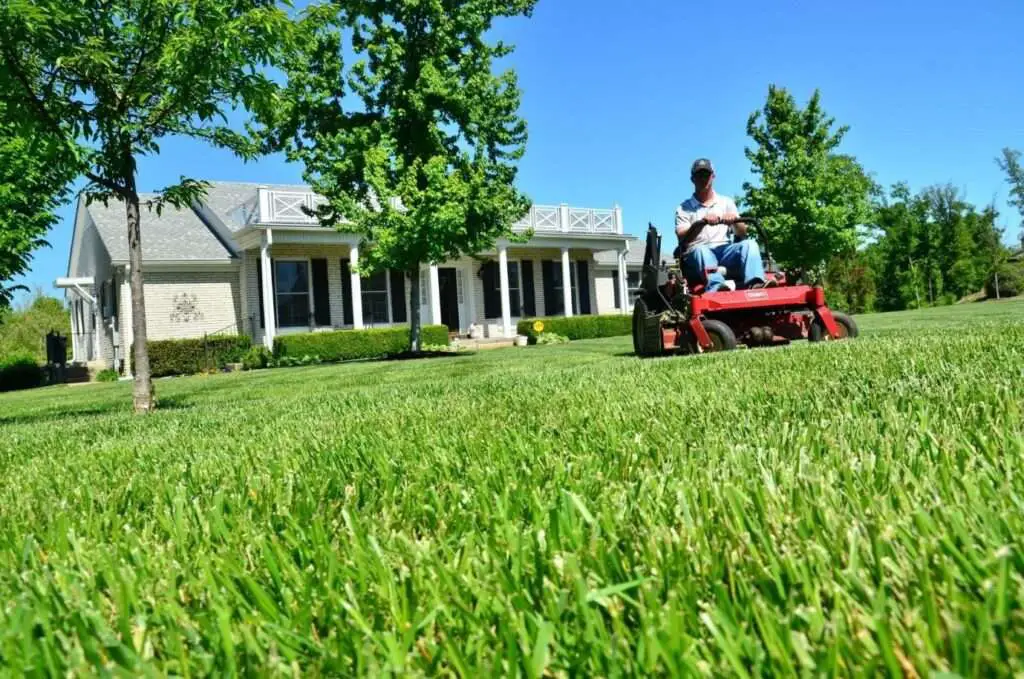 Essential Equipment You Need to Start a Lawn Care Business ...