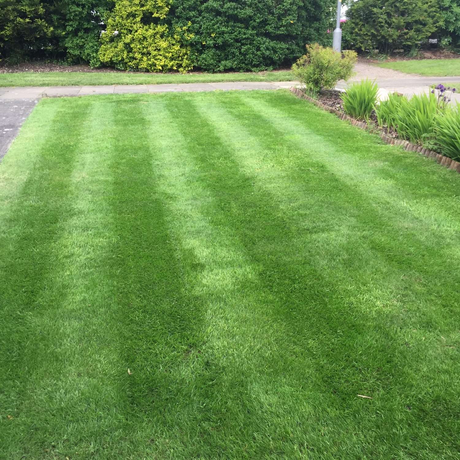 Expert Lawn Care in Teesside