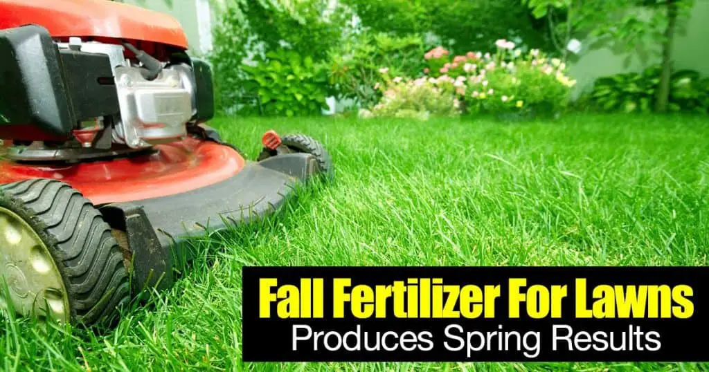 Fall Fertilizer For Lawns Produces Spring Results