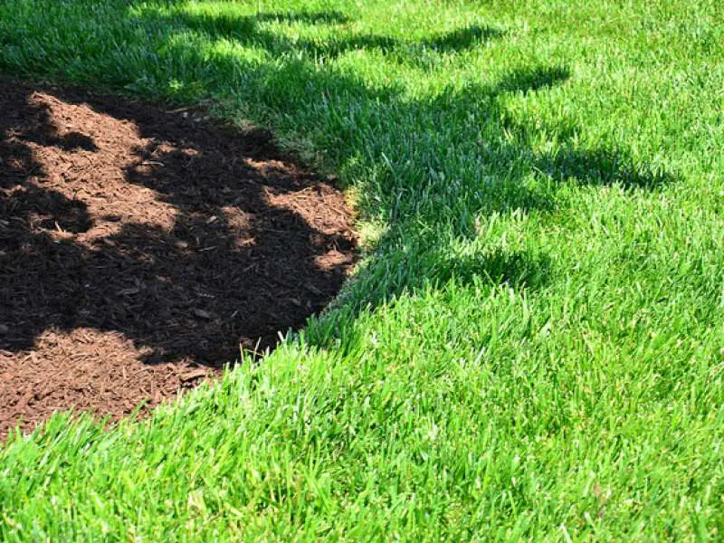 FAQ: When Should You Fertilize Your Yard?