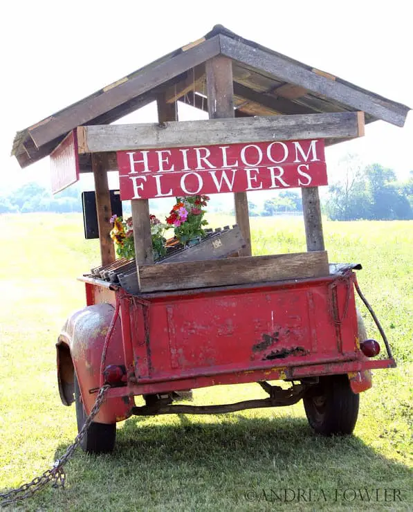 Farmfresh Bouquets: Social Experiment to Sell Flowers on a ...