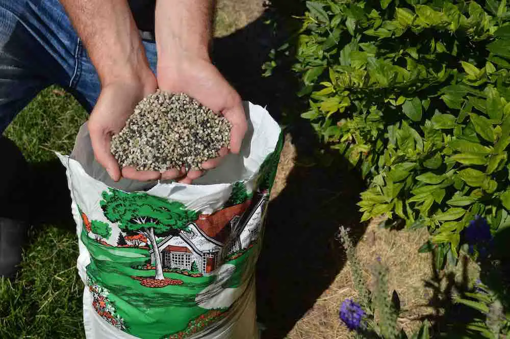 Fertilizer 101: Which Type is Best and What Should I use ...