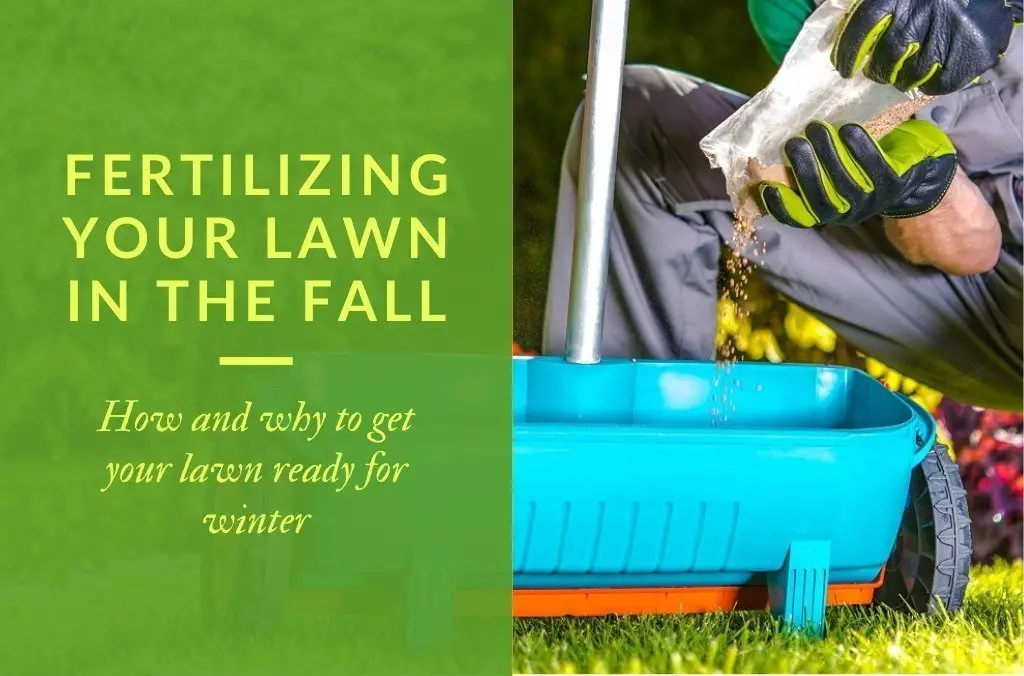 Fertilizing Your Lawn in the Fall