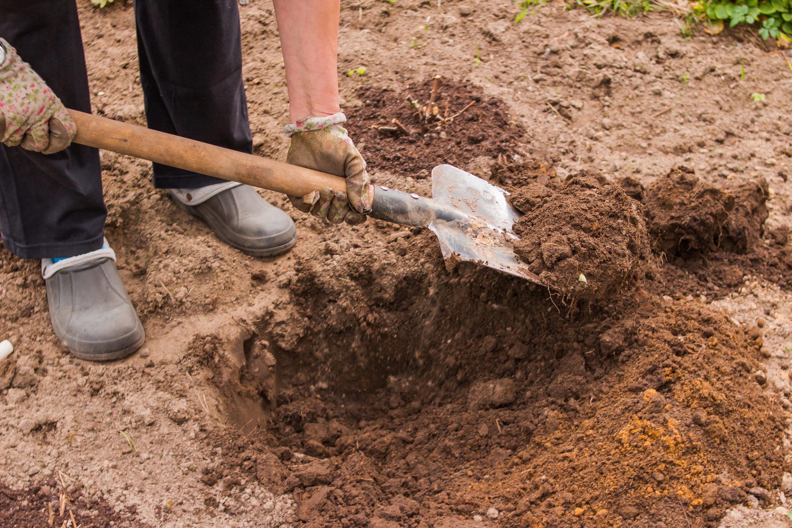 Gardening: How to improve wet clay soil