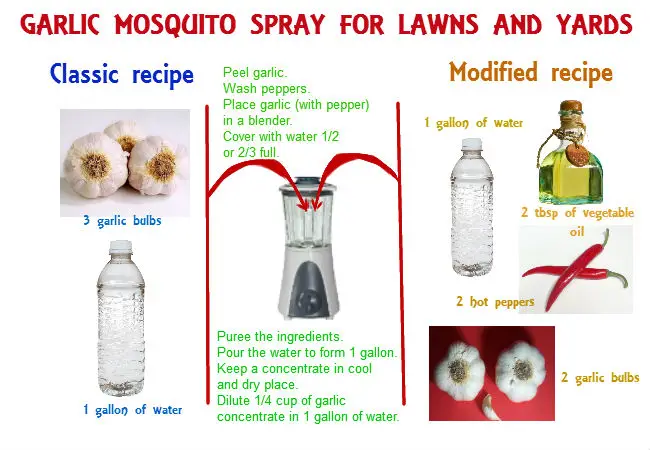 Garlic mosquito repellent for lawns and yards