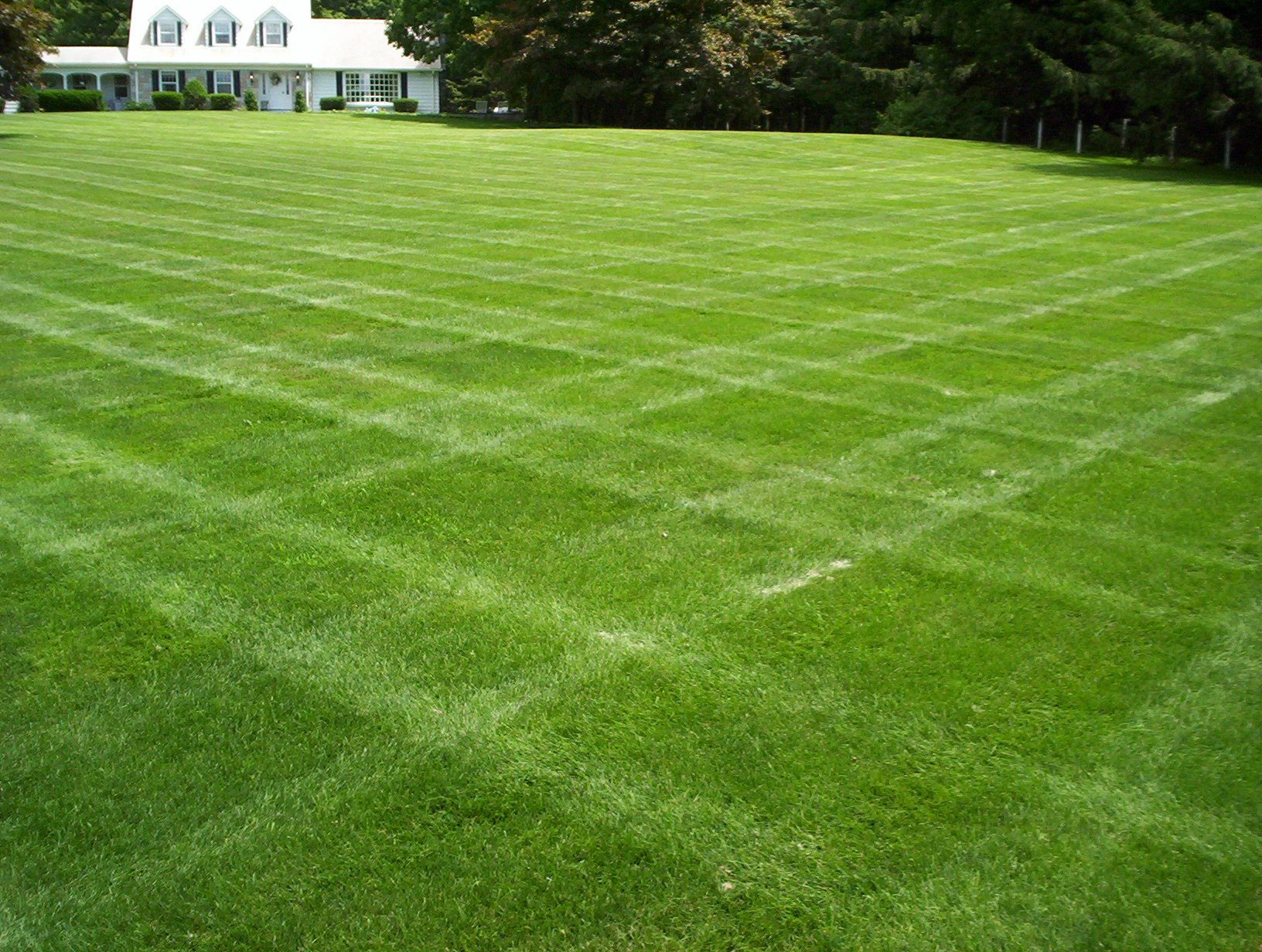 » General Problems Associated with Northwest Lawns ...
