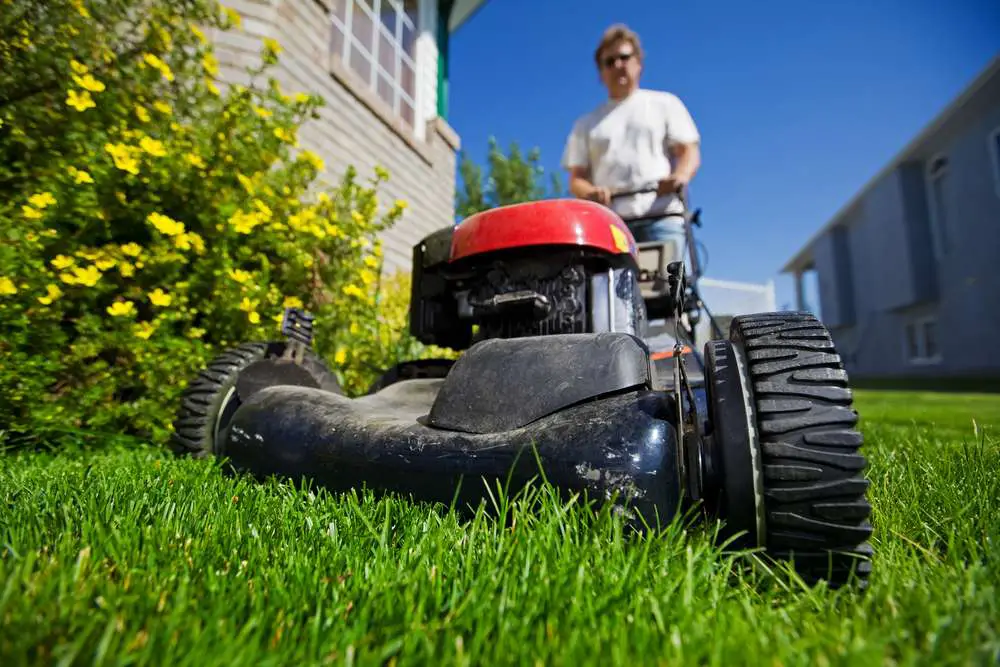 Grass Mowing Tips to Maintain a Healthy Lawn » The Money Pit