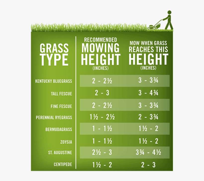 Grass Type Mowing Heights