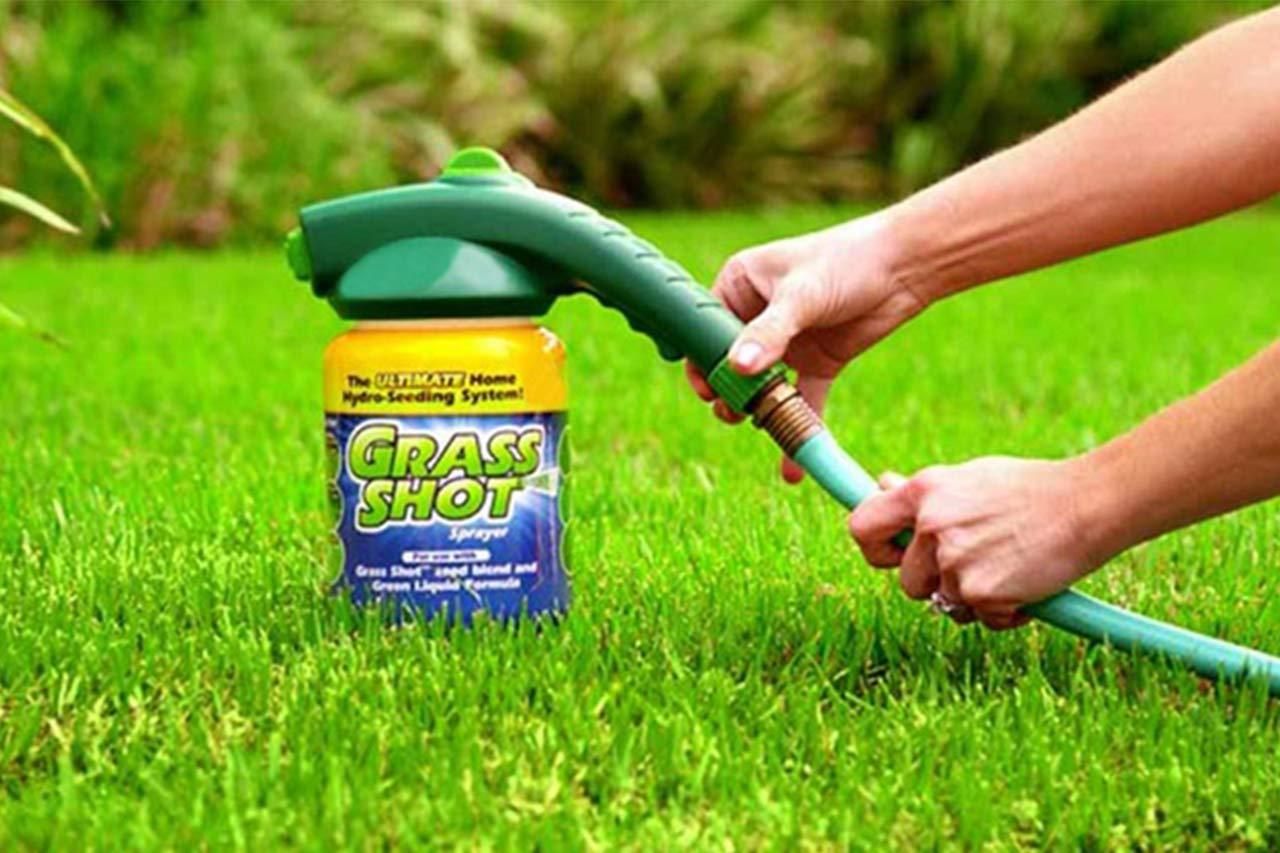 Green Grass Lawn Spray  MyStupp in 2020