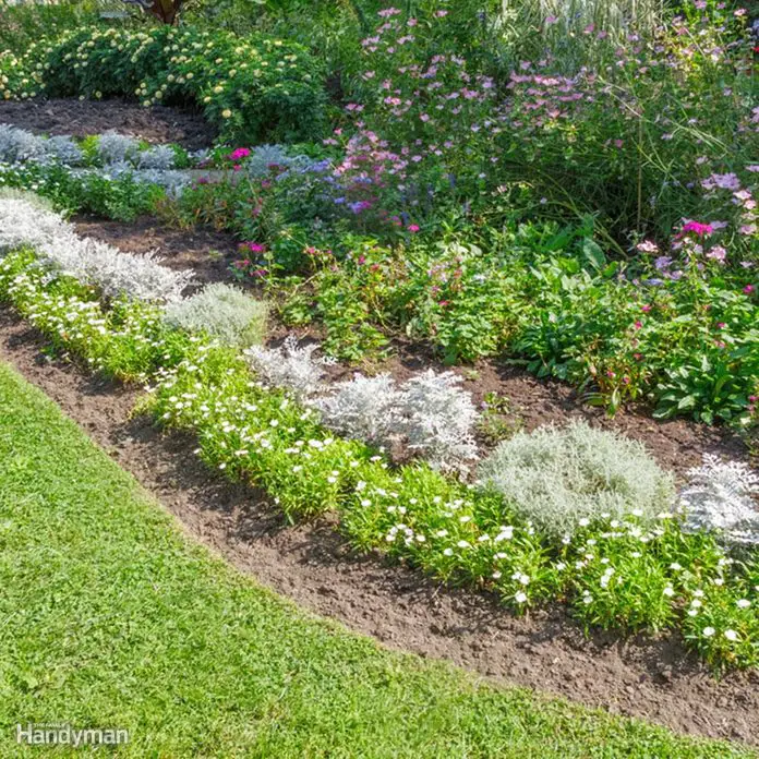 Ground Cover Alternatives to Grass Lawns