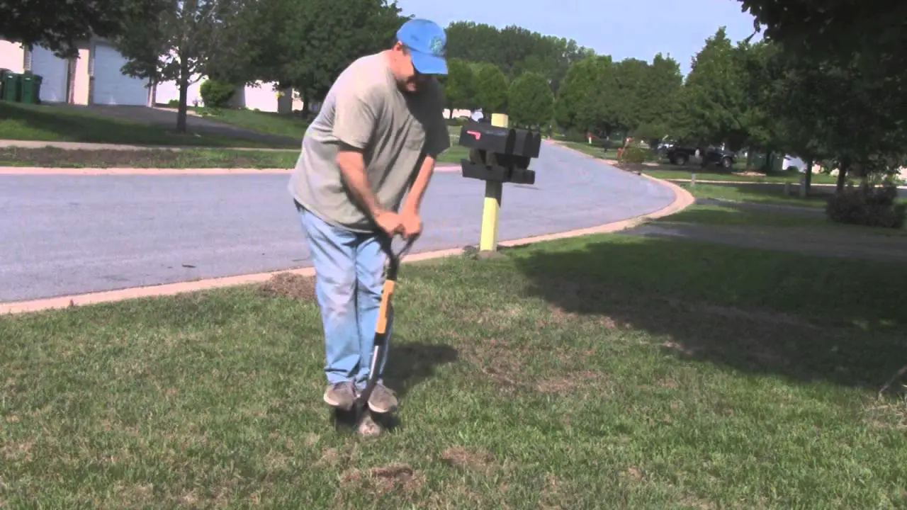 Hand Aerating Your Lawn