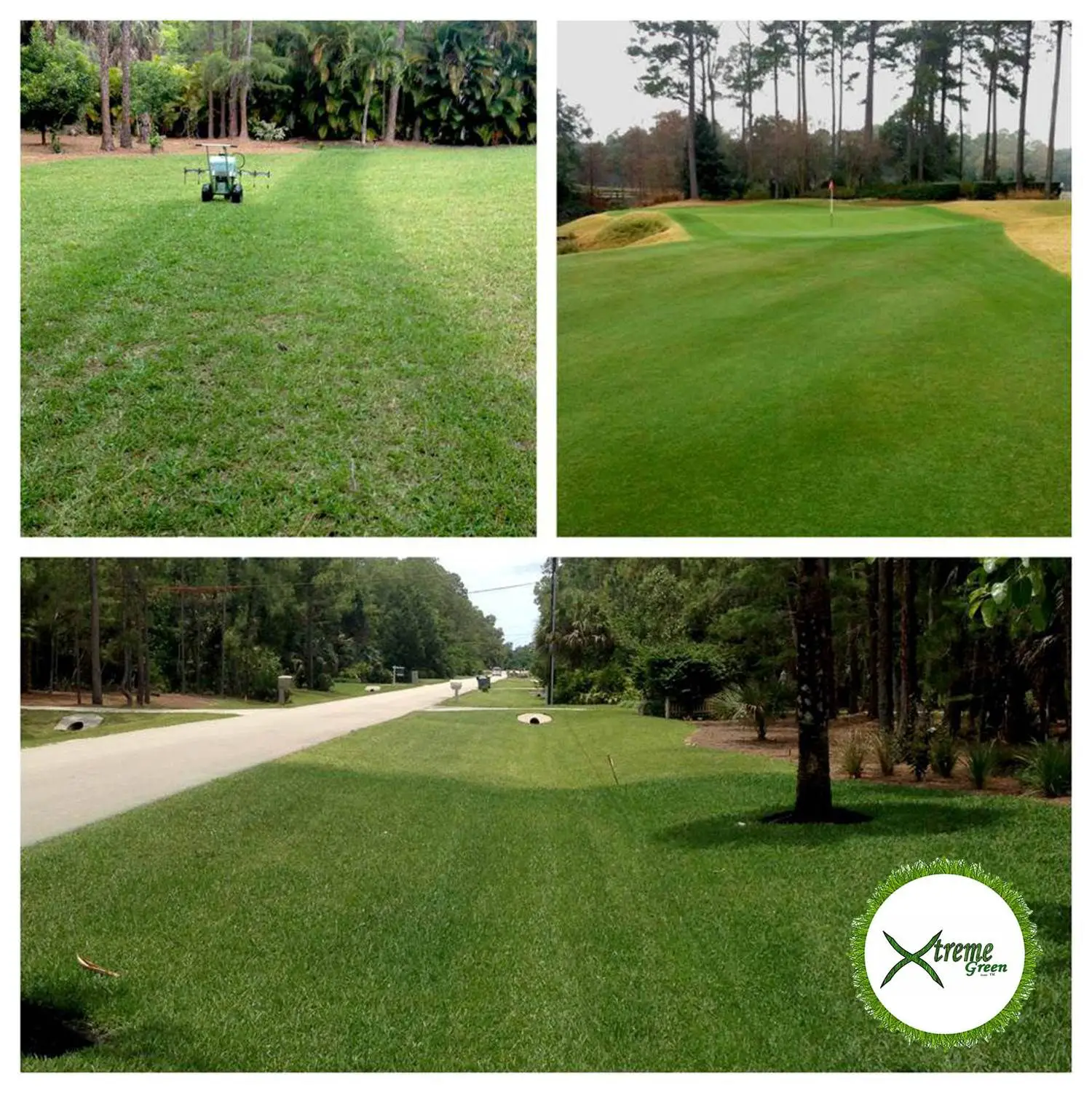 Have the perfect lawn all year round with Xtreme Green Grass Alabama ...
