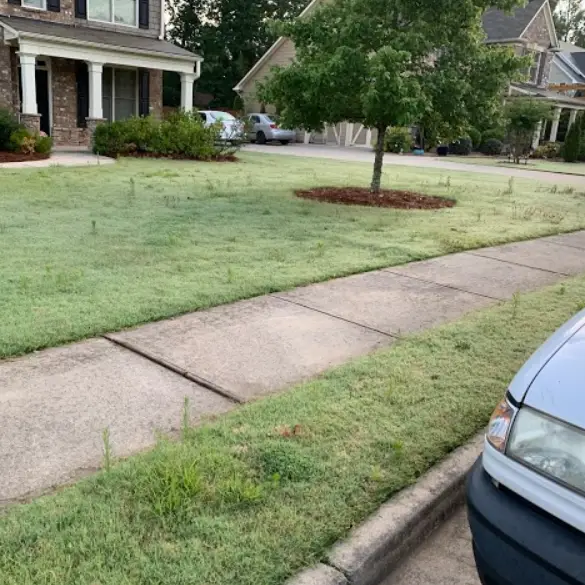 HOA Lawn Mowing in Fayetteville, GA
