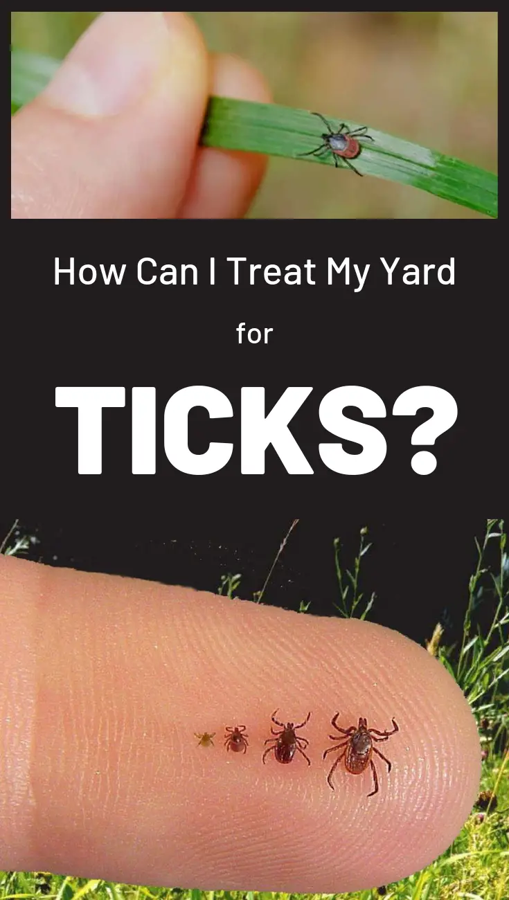 How Can I Treat My Yard For Ticks?