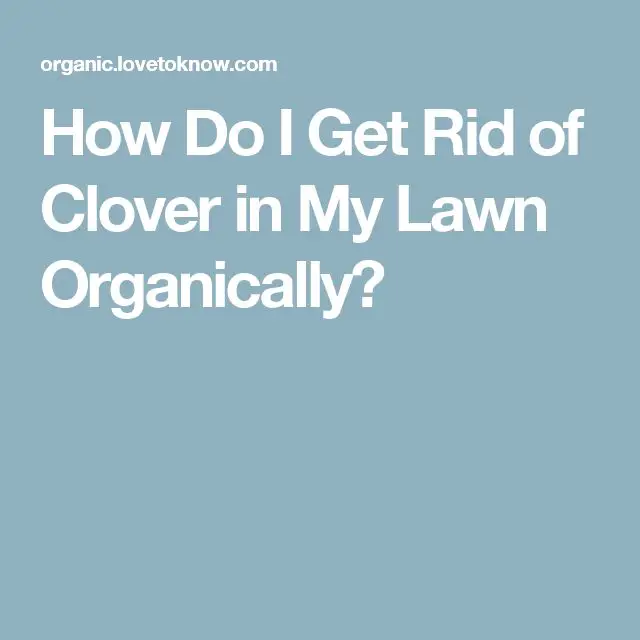 How Do I Get Rid of Clover in My Lawn Organically?
