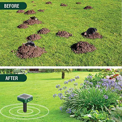 How Do I Get Rid Of Moles In My Garden
