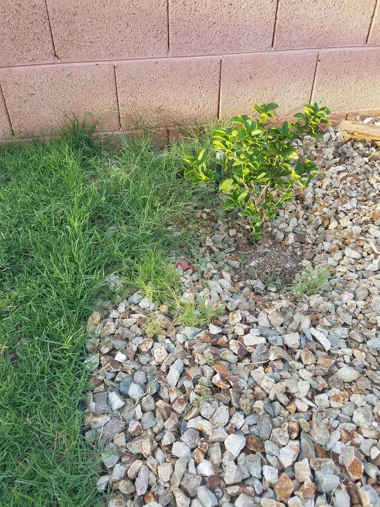How do I kill the grass in the rocks without possibly ...