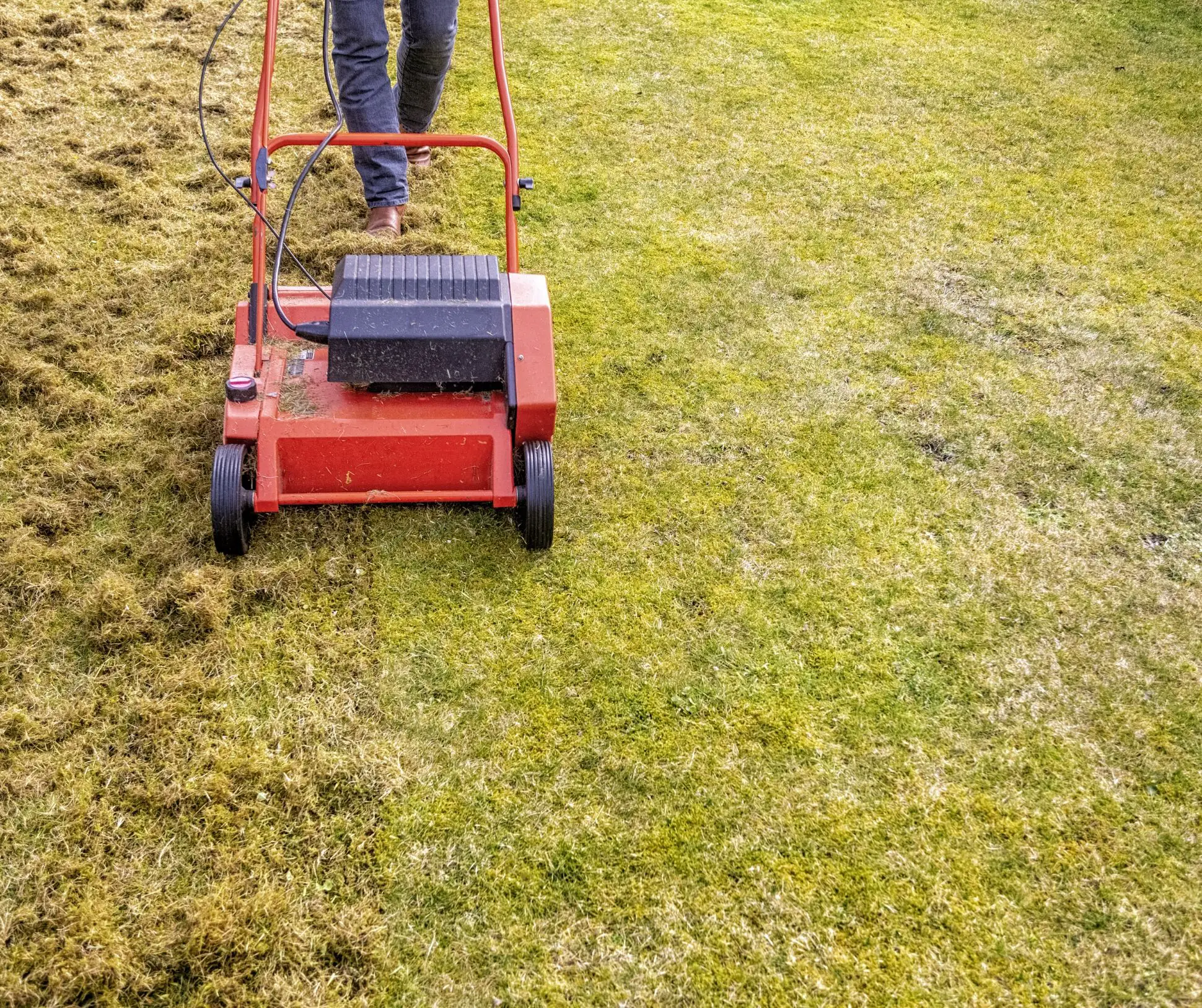 How does Lawn Aeration Help My Lawn?  Roys Lawn Service Inc ...