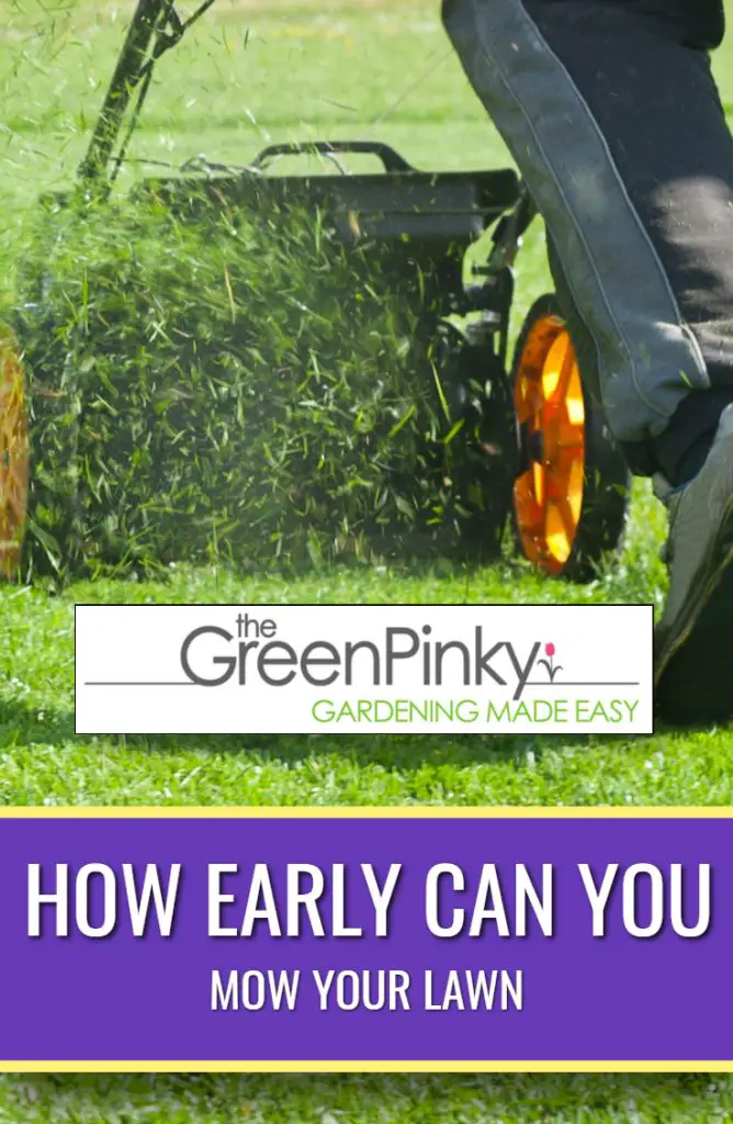 How Early Can You Mow Your Lawn?  Considerations and ...