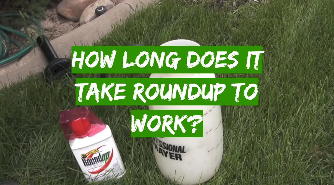 How Long Does It Take Roundup To Work?