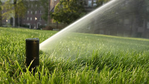 How long should I water my lawn?