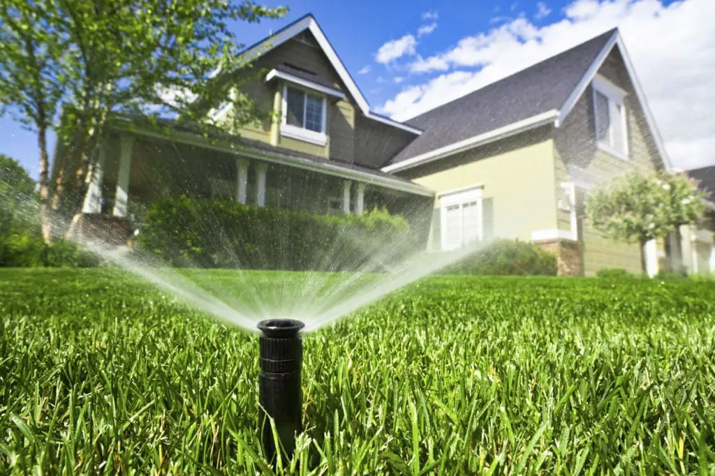 How Long Should You Water Your Lawn Per Zone