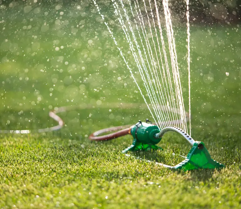 How Long Should You Water Your Lawn?
