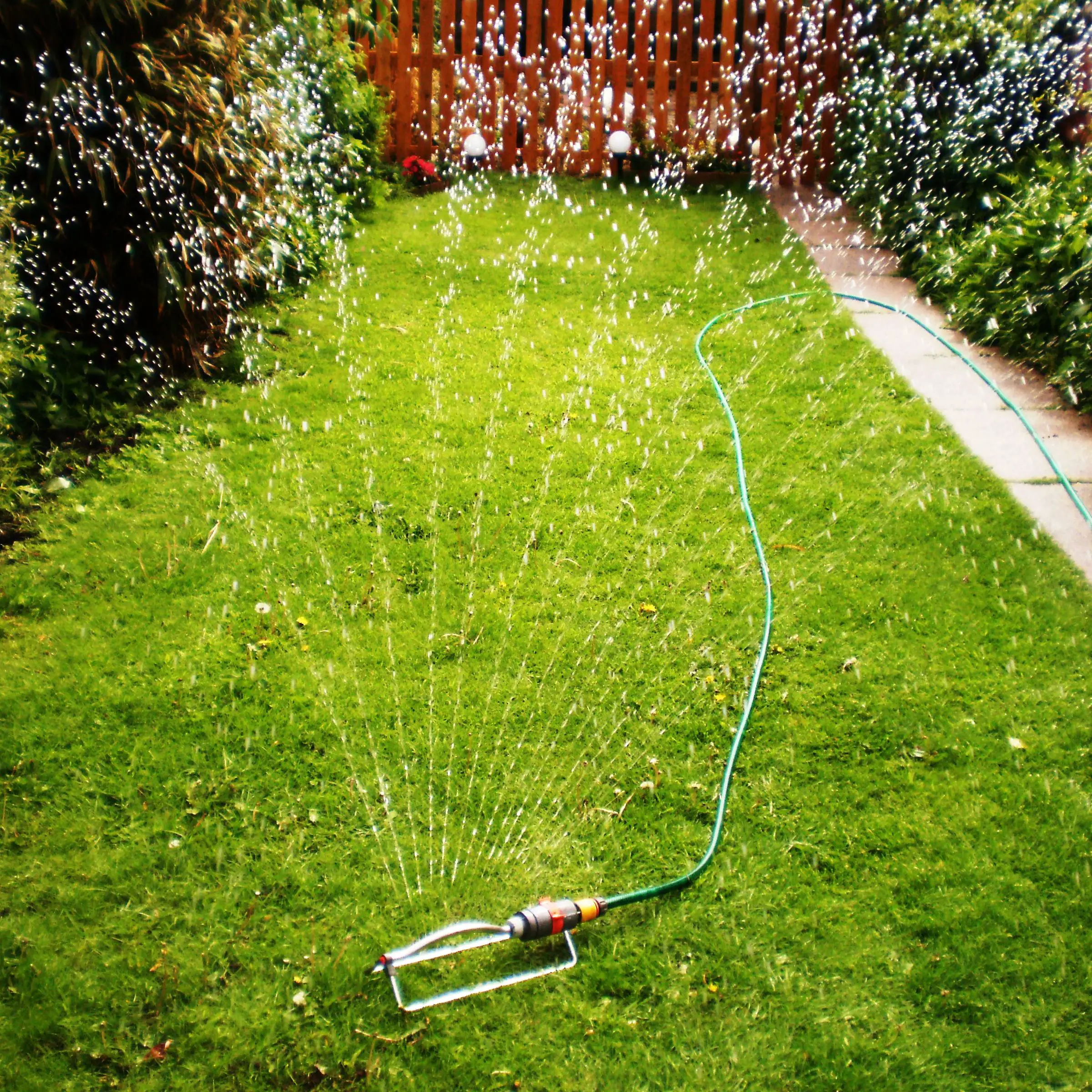 How Long To Water Lawn Utah : How Frequently Should You Water Your Lawn ...