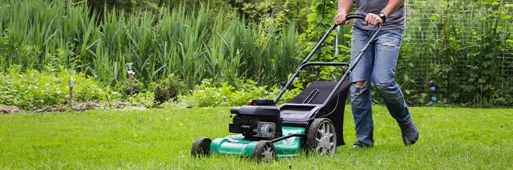 How Much Can You Earn as a Lawn Mowing Expert?  We Are ...