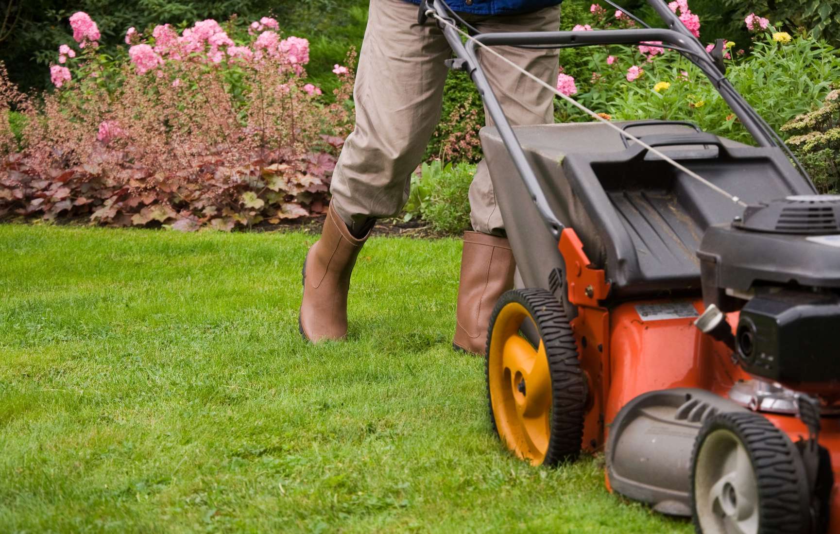 How Much Do Lawn Care Cost