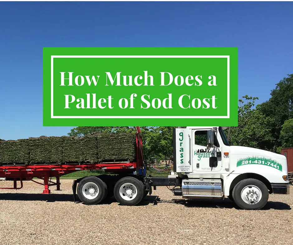 How Much Does a Pallet of Sod Cost