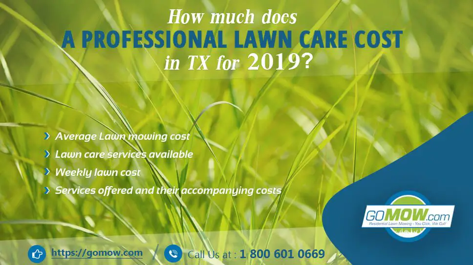 How much does a professional lawn care cost in TX for 2019 ...